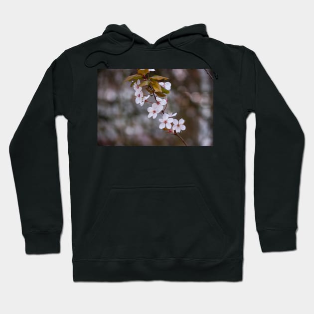 Spring Flowers in Bloom Hoodie by Naoswestvillage